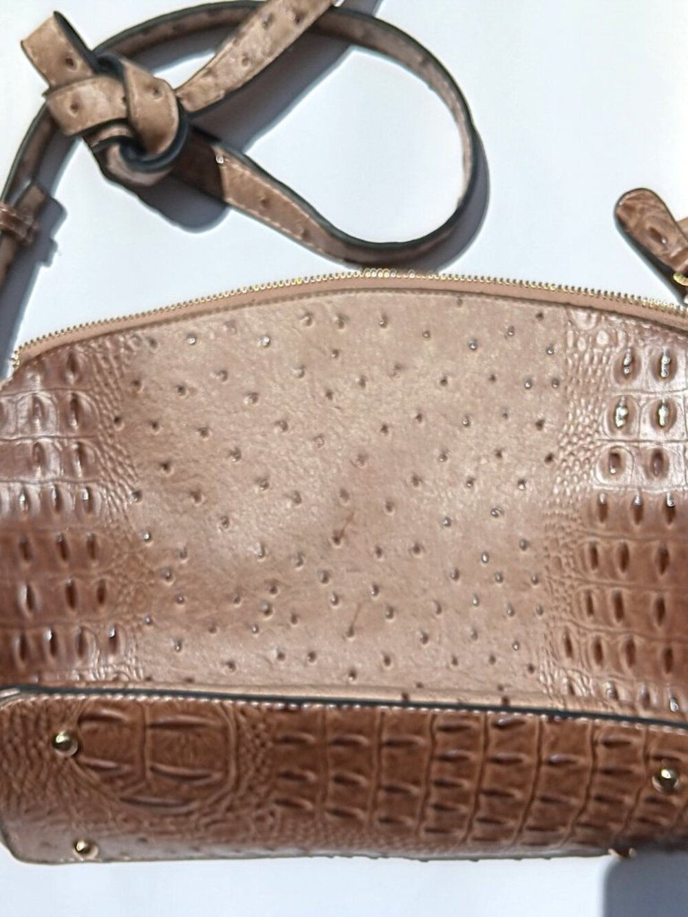 Beige Faux Ostrich Crocodile Textured Crossbody Black Silhouette Bird Lining - Picture 2 of 7